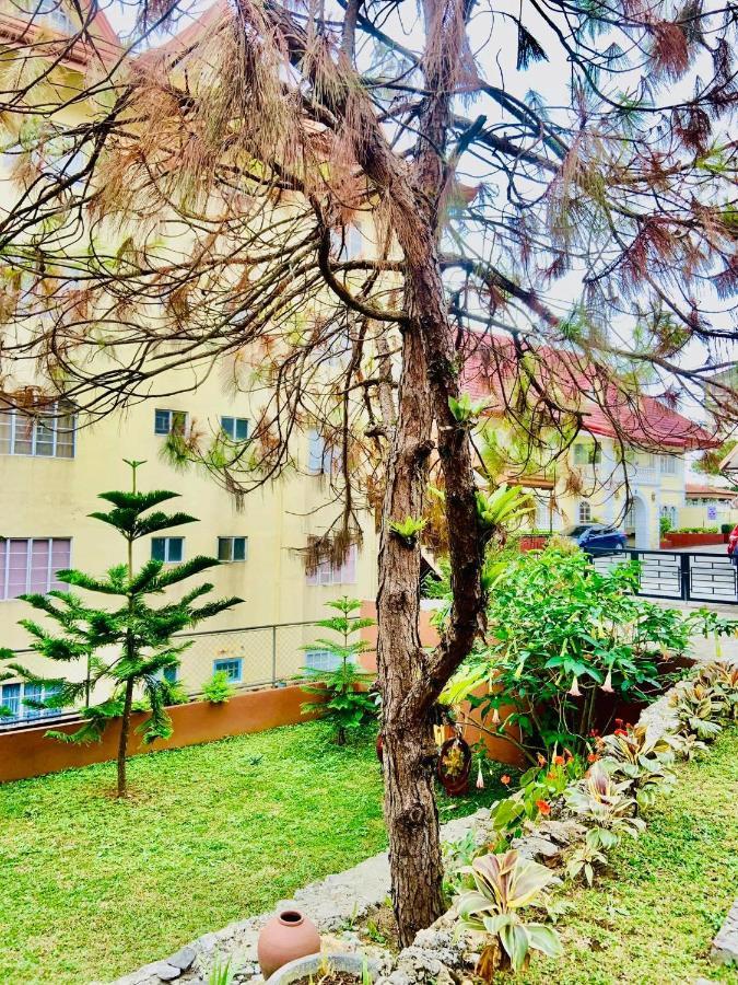 Elliannah Pines Hotel Baguio City Exterior foto